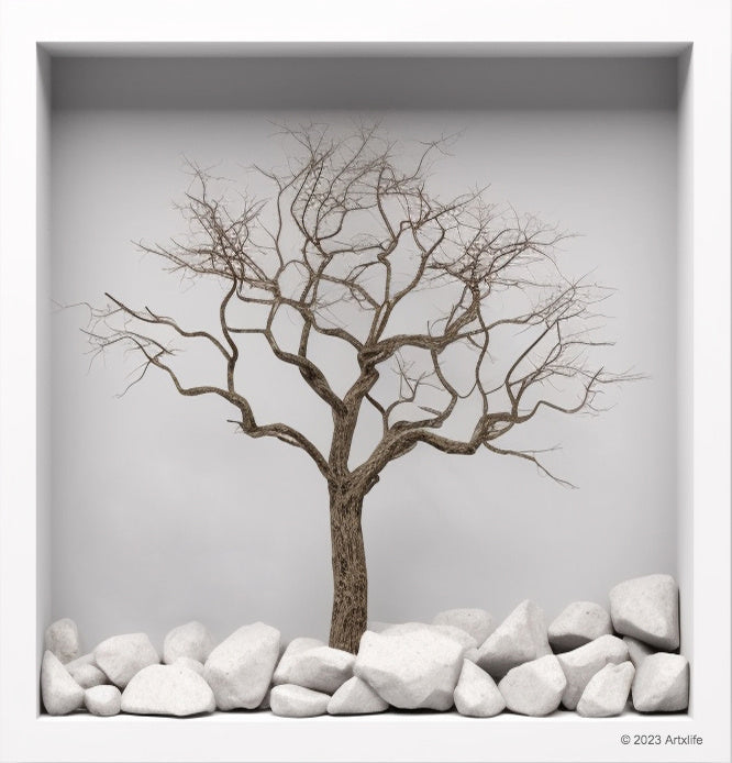 DeepFrame 12