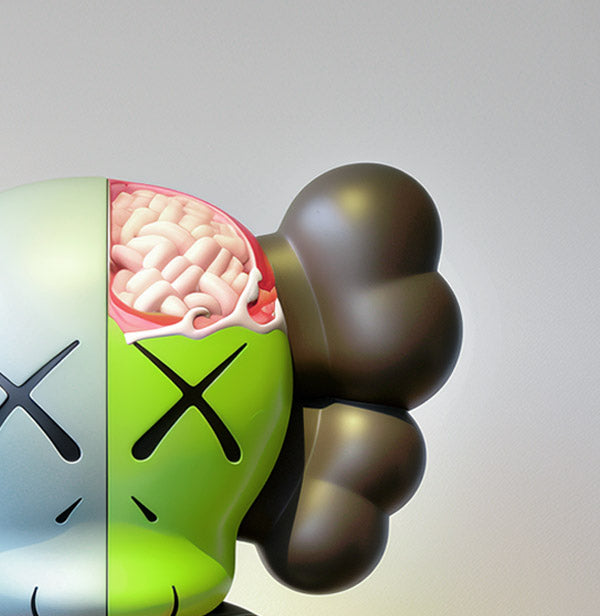 Crazy Kaws Dissected at Museum