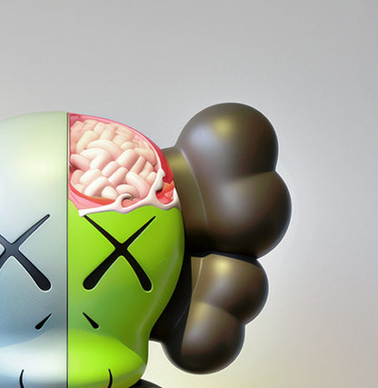 Crazy Kaws Dissected at Museum