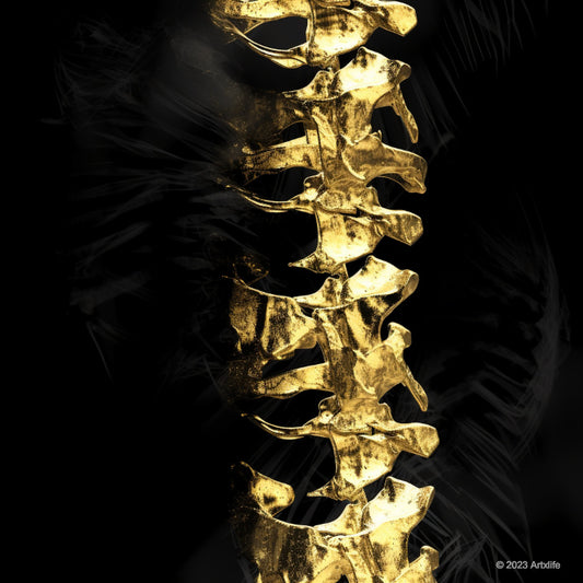 X-Ray 10