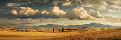 Landscape 6 