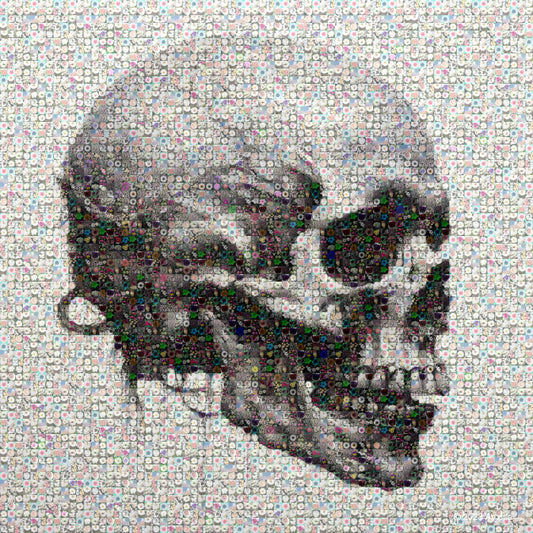 Skull 3
